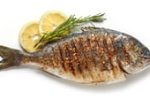 grilled-fish-on-white-background-2023-11-27-04-54-54-utc-1.jpg